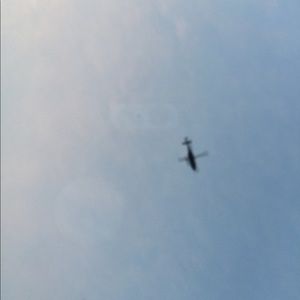 Meet your Posher, Luis